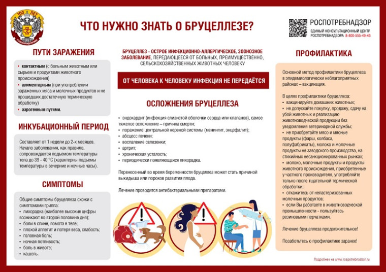Осторожно: бруцеллез!.